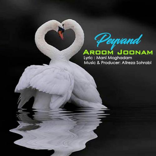 دانلود آهنگ آروم جونم پیوند